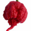 CarolinaReaper