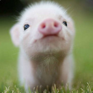 Sad Piglet avatar