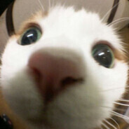 Dude, This guy is fᵾȼꝁɨn Insane