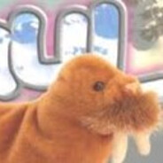 Paul Walrus