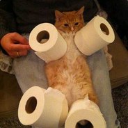 котья жопа