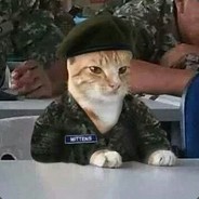 Sir Mitten avatar