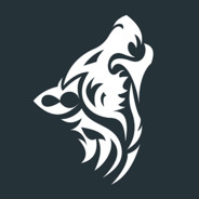 **Blue-Wolf**'s Avatar