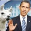 Obama&#039;s Llama