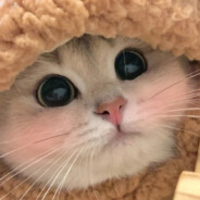 razbydi menya v 53:42