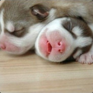 oldDdoubleC's Avatar