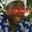 Group Avatar