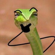 S n a k e ❛ ✾ ❟