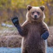 oligrizz