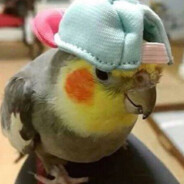 guiFreak
