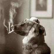 Borzometer's Avatar