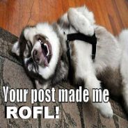 playerROFLdawg - steam id 76561197961857842