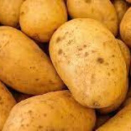 PATATO