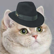 M'Kitten