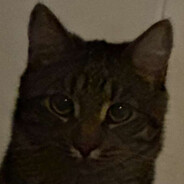 Closofy