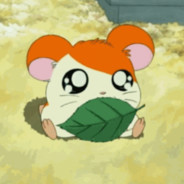 Axarus