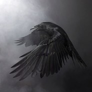 Lonely Raven