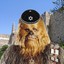 Jewbacca