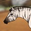 quagga