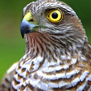 aTmaCa