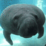 dugongo