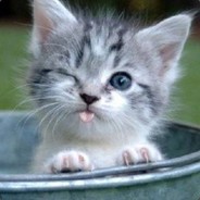 Rampant_Tornado's Avatar