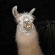 DrunkenAlpaca avatar