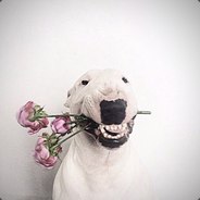 Sprt