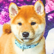 Riku