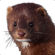 Sgt. Mink - steam id 76561197963263401