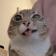 https://avatars.akamai.steamstatic.com/69efc635922e4497b9f44990fce44feee322c357_full.jpg