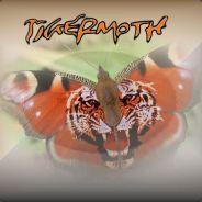 Tiggy
