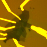 稀释大冰箱's Avatar