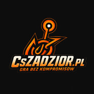Grupa Steam