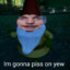 AngryGnome