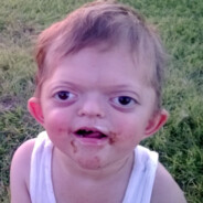 anyád lankasztott szilvacsöcse