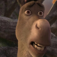 Donkey