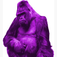 FlavouredGorilla's Avatar