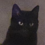 Rodriques's Avatar
