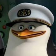 Captain Skipper