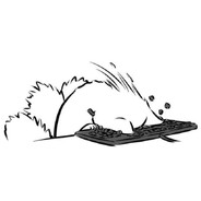 逸响's Avatar