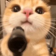 FizzyPaws