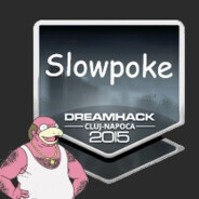 *SLOWPOKE* - steam id 76561197963695068