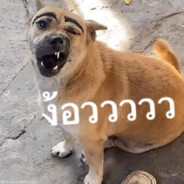 ชอบเลียหี