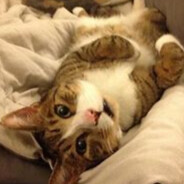 DipsisHuliganas Rampage.lt