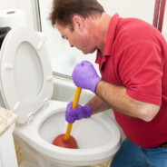 Toilet Cleaner