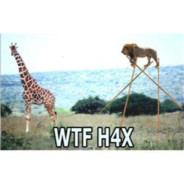 This Here Giraffe