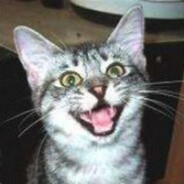 chem