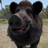 Boar's Avatar
