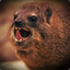 TheAngryHyrax